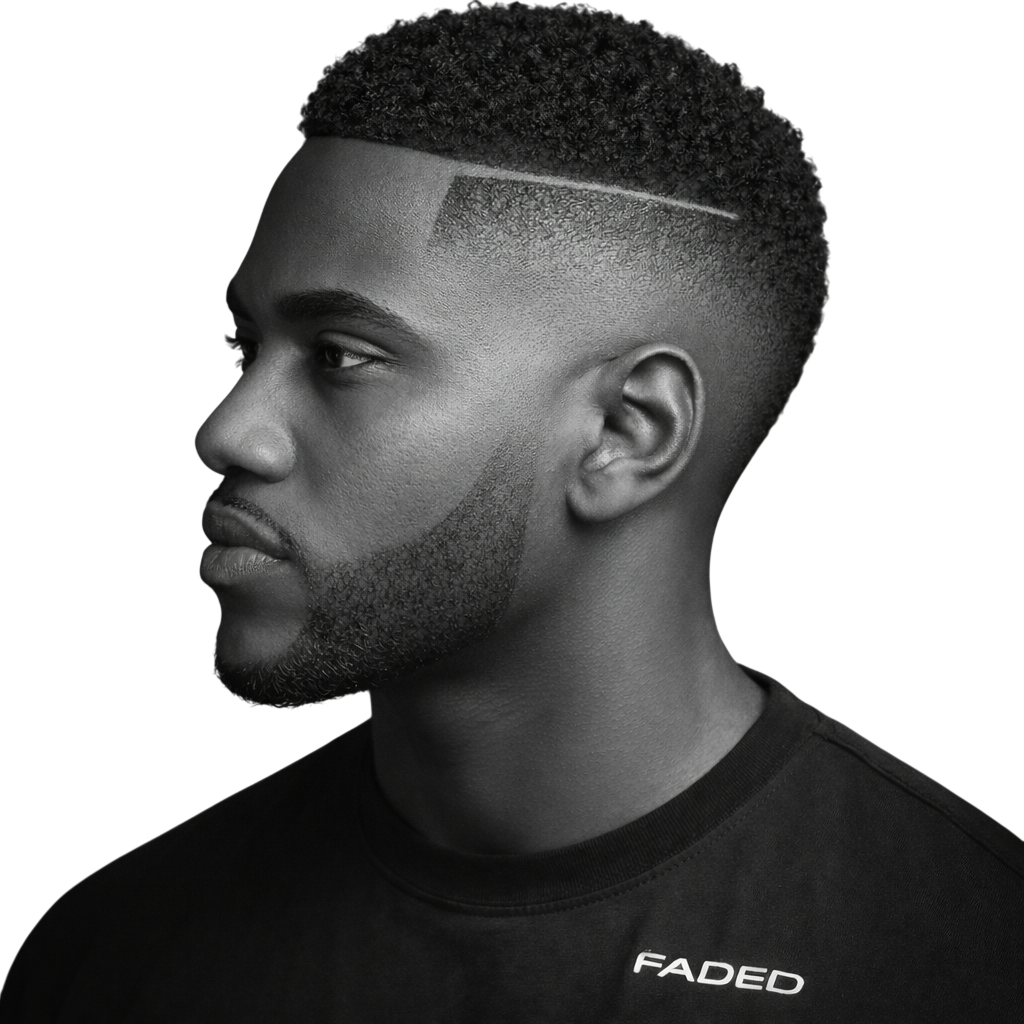 Mini Curly Crop + Line Up and High Skin Fade