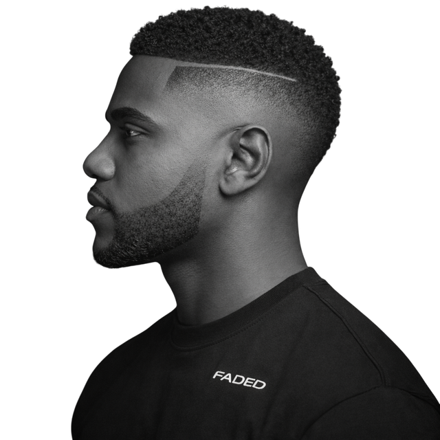 Mini Curly Crop + Line Up and High Skin Fade